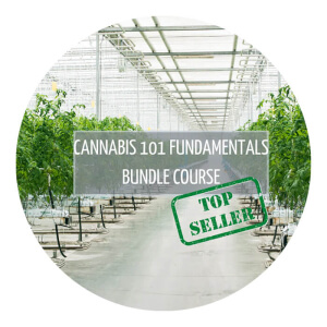 Cheeba Academy Cannabis 101 Fundamentals Bundle from Cafe420