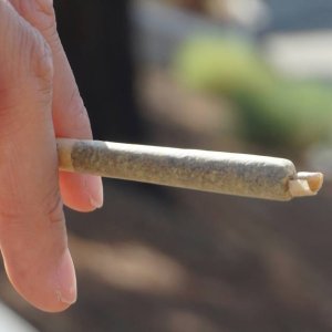 Prerolls