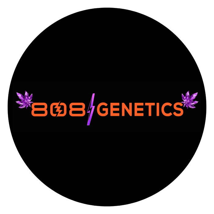 808 Genetics | Cannabis Seeds & Genetics | Cafe420