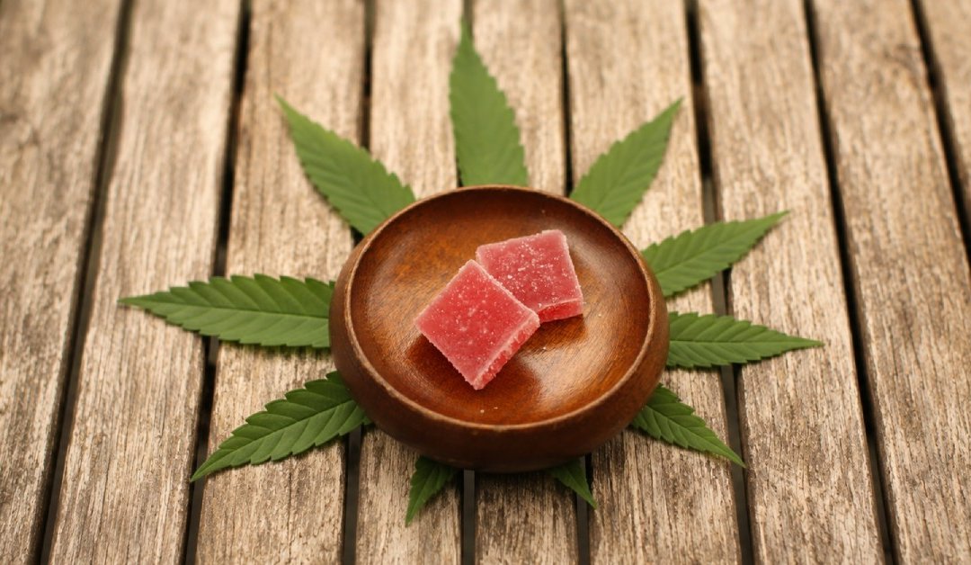 A Beginner's Guide to Cannabis Gummies in South Africa | Cafe420