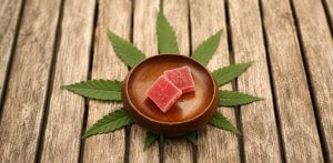 A Beginner's Guide to Cannabis Gummies in South Africa | Cafe420